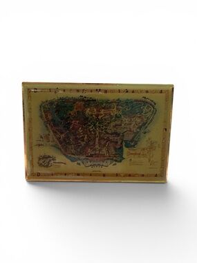 Rare LE Vintage Disneyland Map Pin